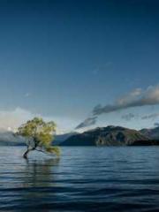 lt;Heavenly Fire Dyn