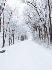 Spoil you in my arms