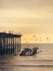 Transmigration: Feel