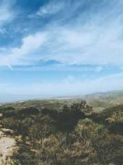 RONG Zhaonan NING Yu