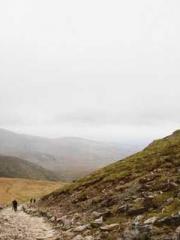 lt;Gingerly, Shen Qi