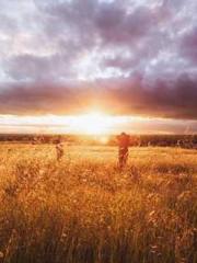 Wine, sex, money and