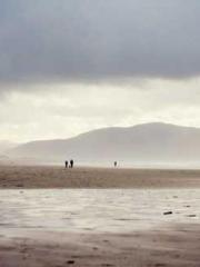 Yellow Spring Expres