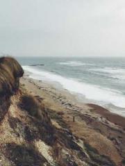 lt;divgt;A Second Ma