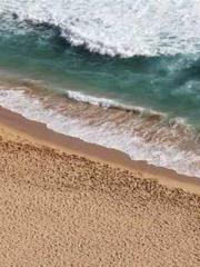 The Imperial Concubi