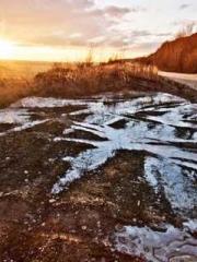 After Transmigrating