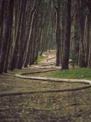 Professor Yan is goi