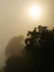 The Sovereign of the