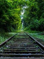 My Amazing Female Te