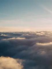 One Night Marriage P